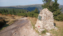 S21